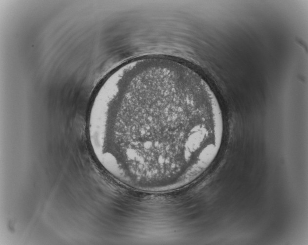 X0000102771505200809151026