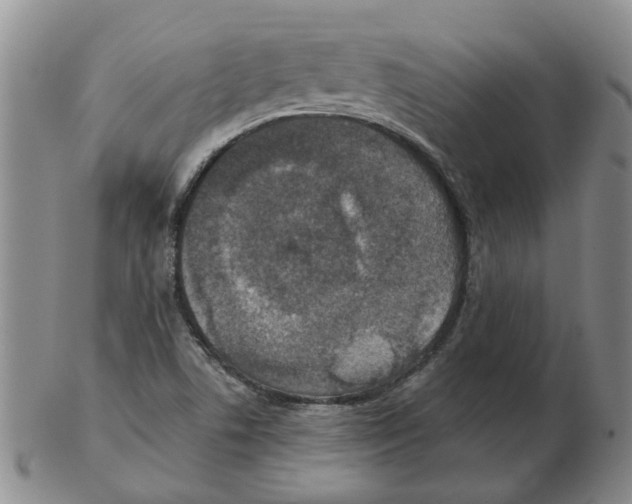 X0000102771506200809151026