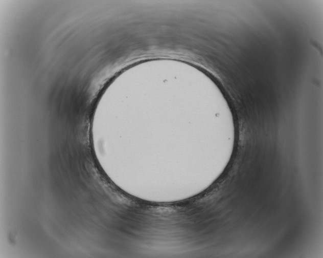 X0000102771507200809151026