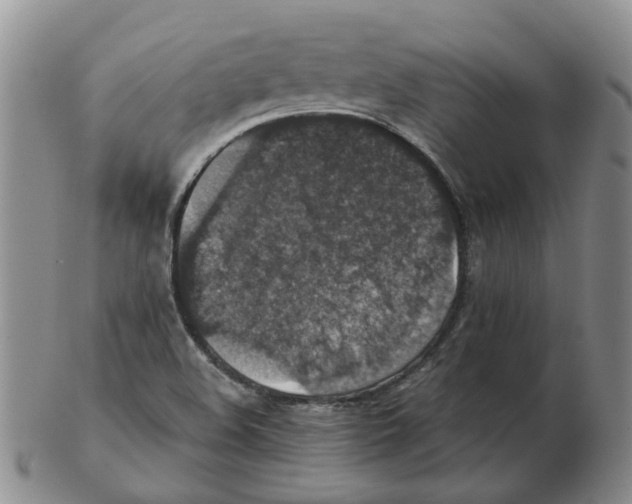 X0000102771508200809151026