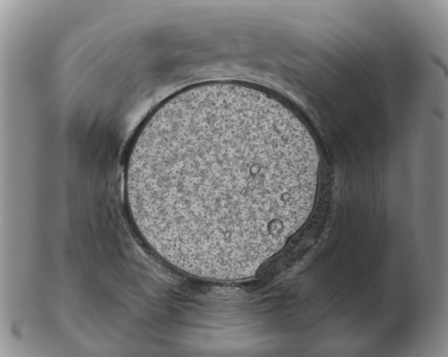 X0000102771509200809151026