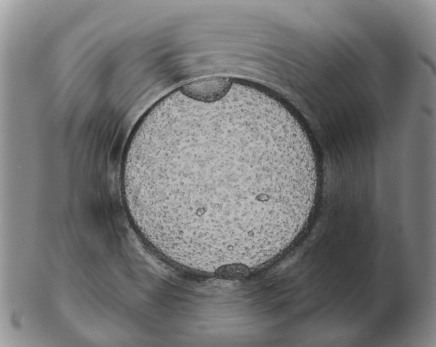 X0000102771513200809151026