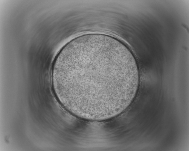 X0000102771514200809151026