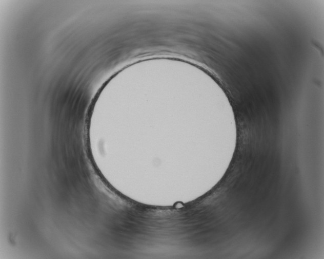 X0000102771518200809151026