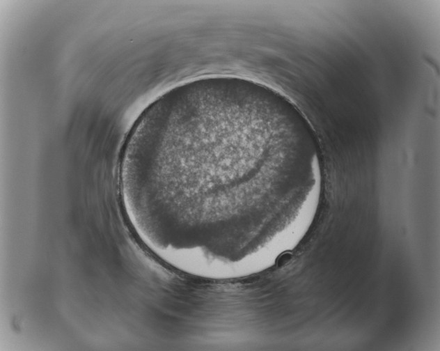 X0000102771519200809151026