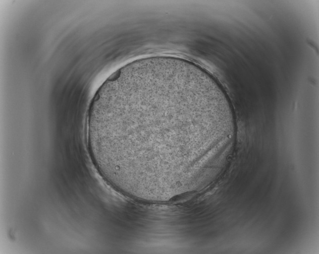 X0000102771520200809151026