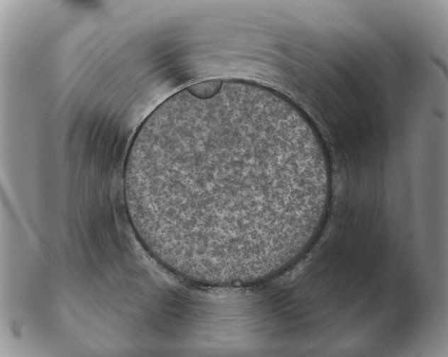 X0000102771521200809151026