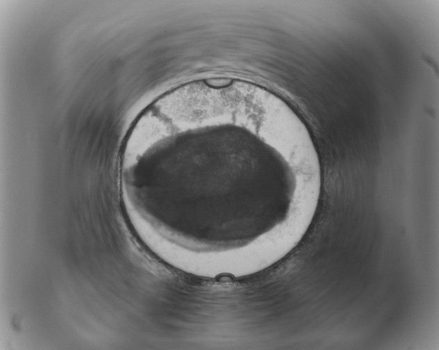 X0000102771522200809151026