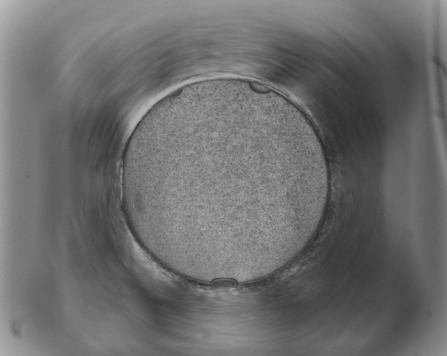 X0000102771524200809151027