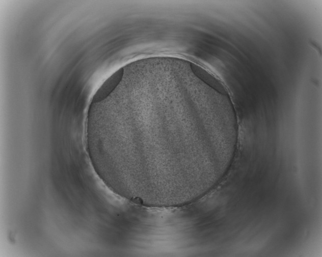 X0000102771528200809151027