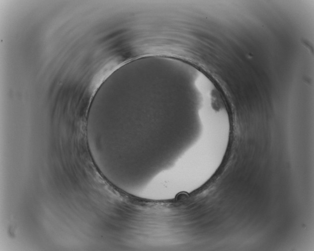 X0000102771529200809151027