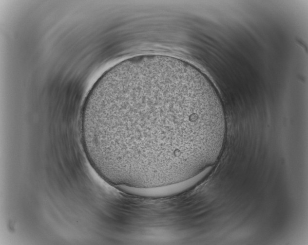 X0000102771531200809151027