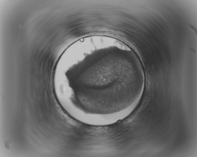 X0000102771533200809151027