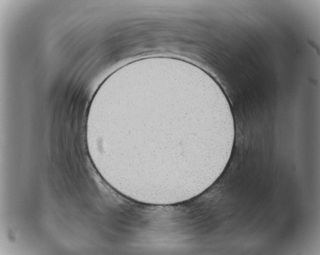 X0000102771534200809151027