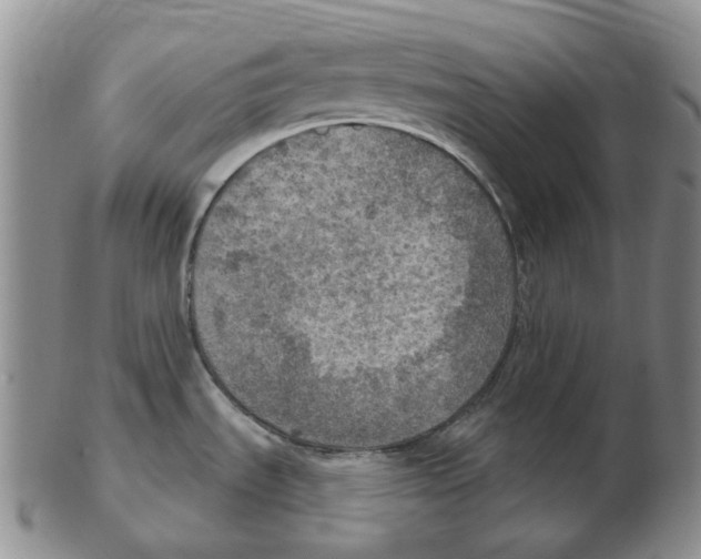 X0000102771535200809151027