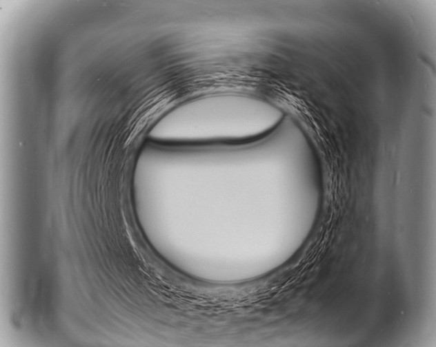 X0000102780001200808180942