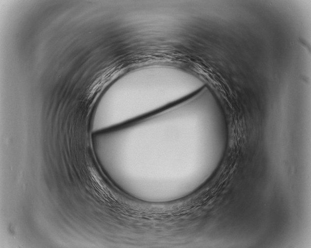 X0000102780002200808180942