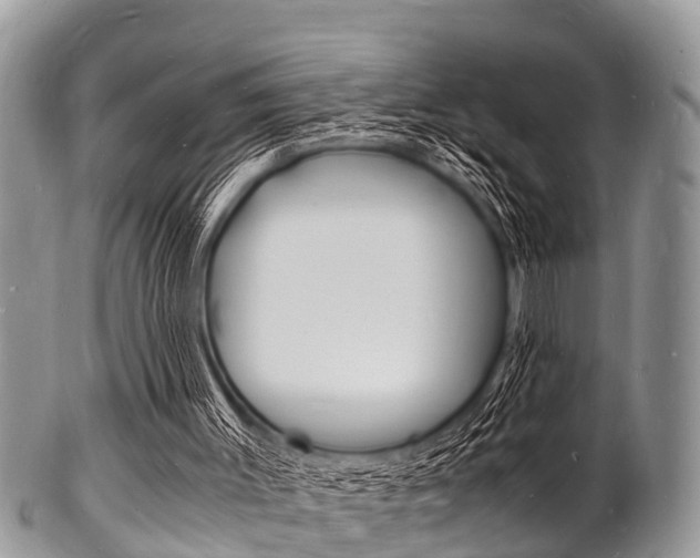 X0000102780003200808180942