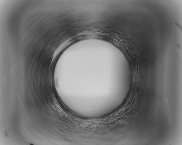 X0000102780004200808180942