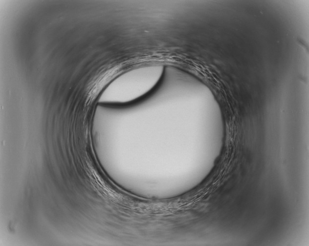 X0000102780005200808180942