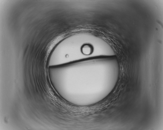 X0000102780006200808180942