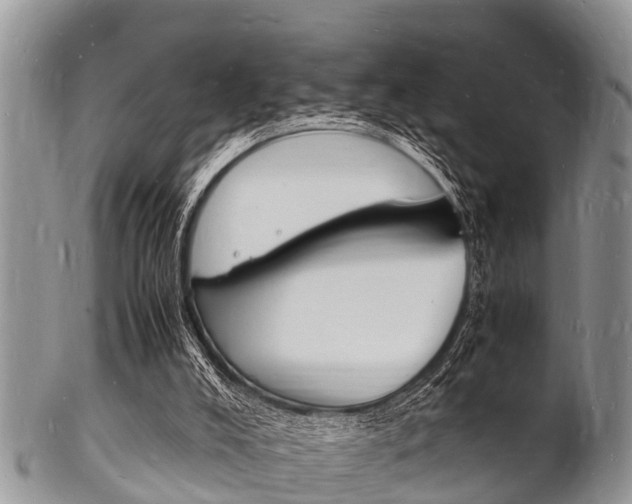 X0000102780008200808180942