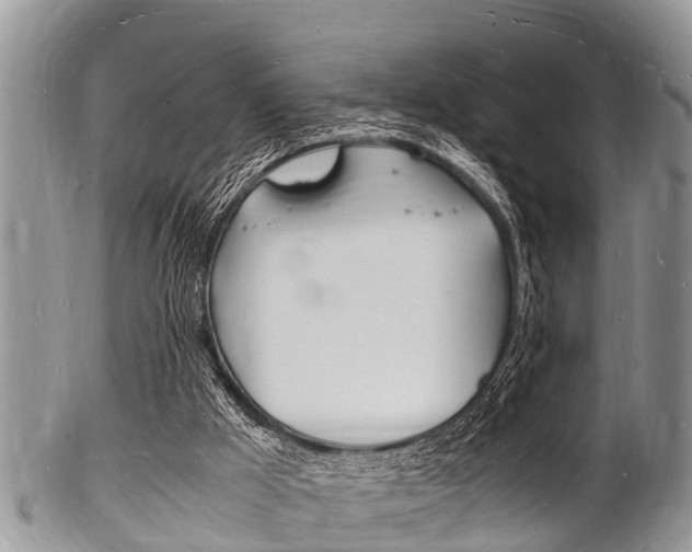 X0000102780009200808180942