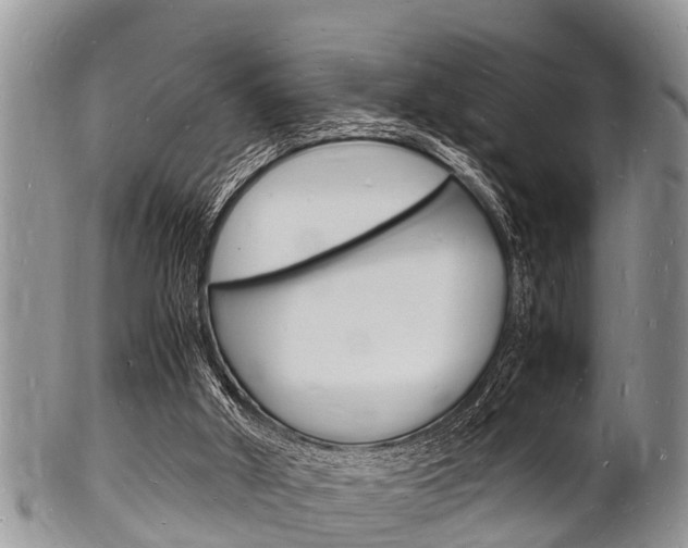 X0000102780010200808180942