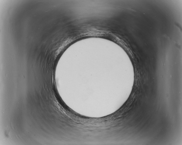 X0000102780011200808180942