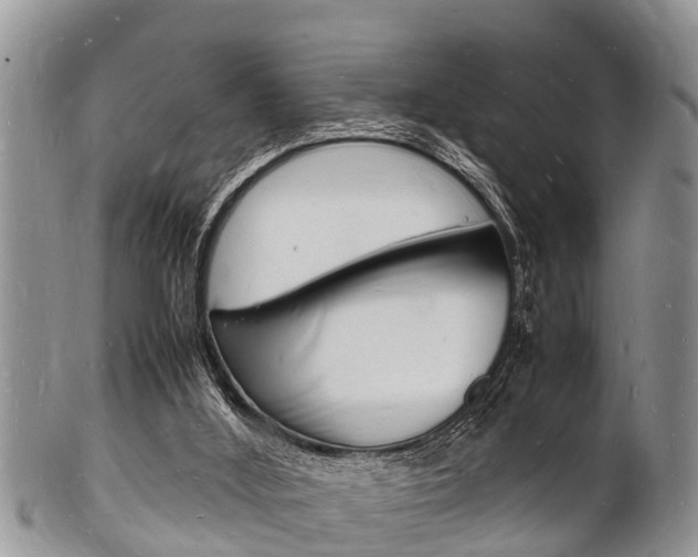 X0000102780012200808180942