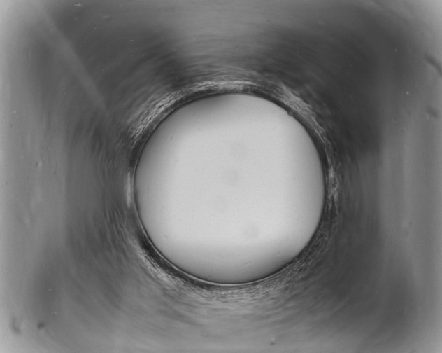 X0000102780013200808180942