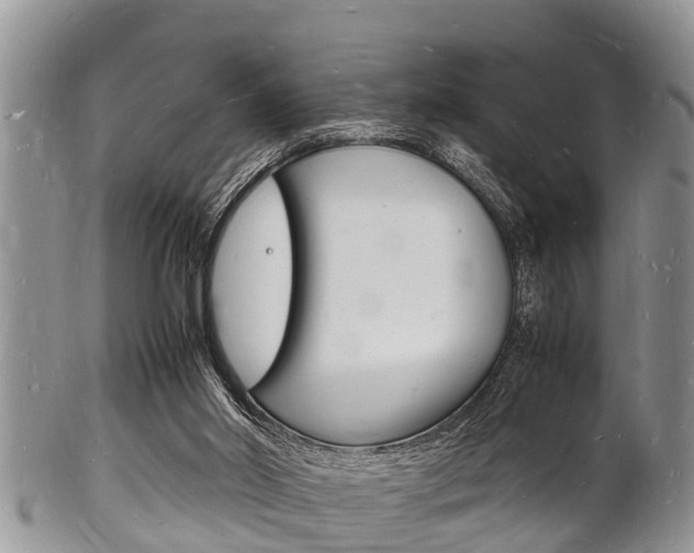 X0000102780014200808180942