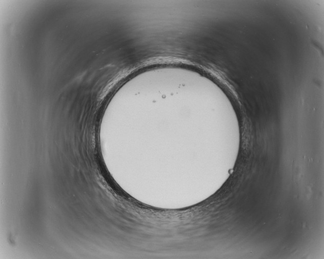 X0000102780015200808180942