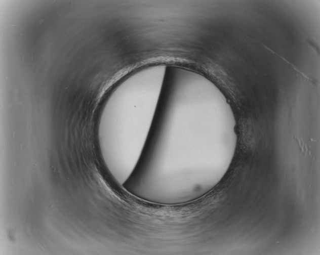 X0000102780016200808180942