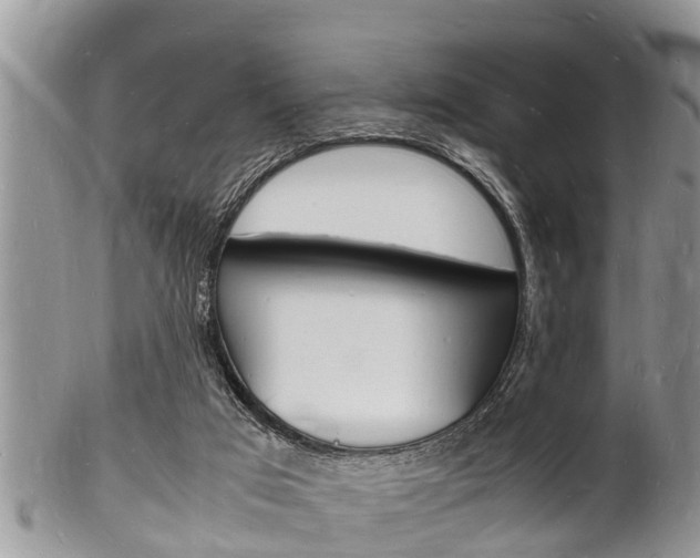 X0000102780017200808180942