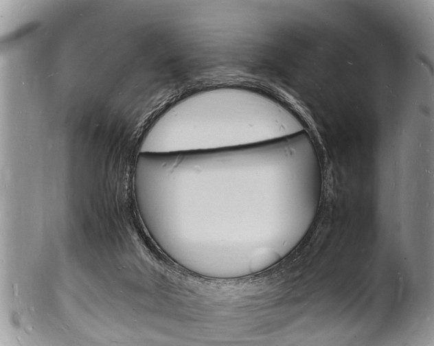 X0000102780018200808180942