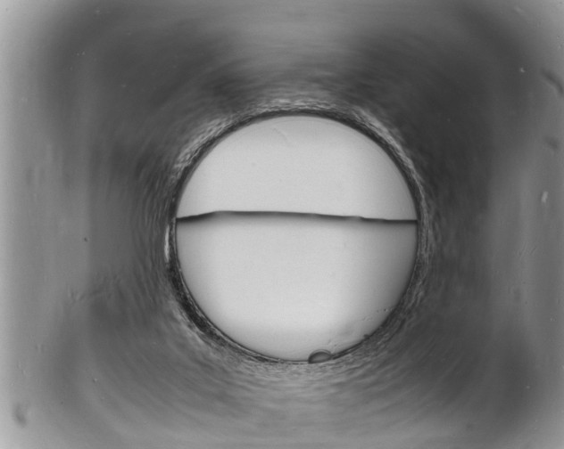 X0000102780019200808180941