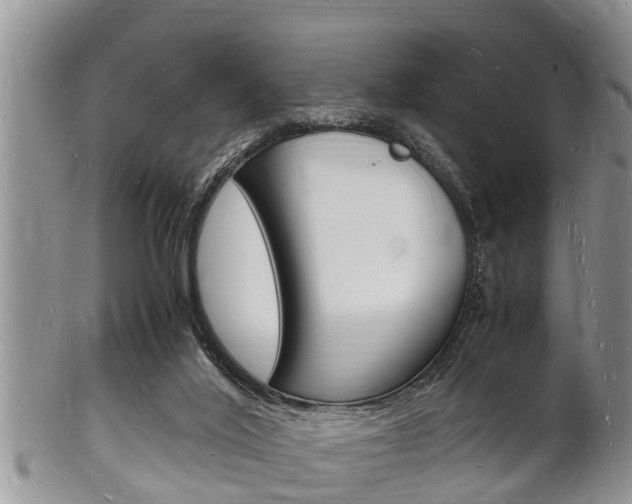 X0000102780020200808180941