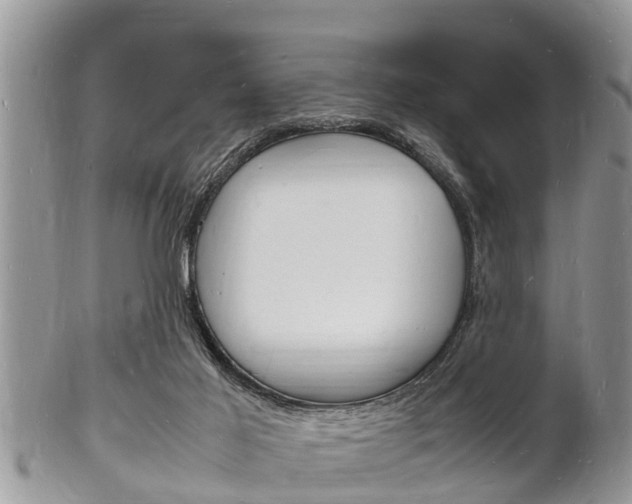 X0000102780021200808180941