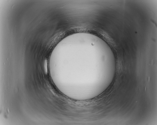 X0000102780022200808180941