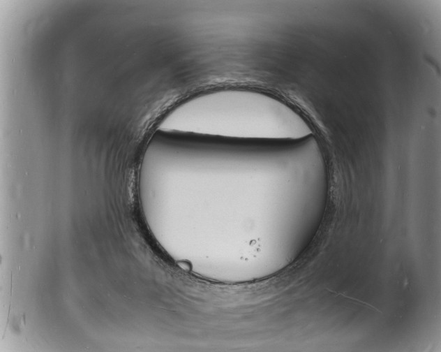 X0000102780023200808180941