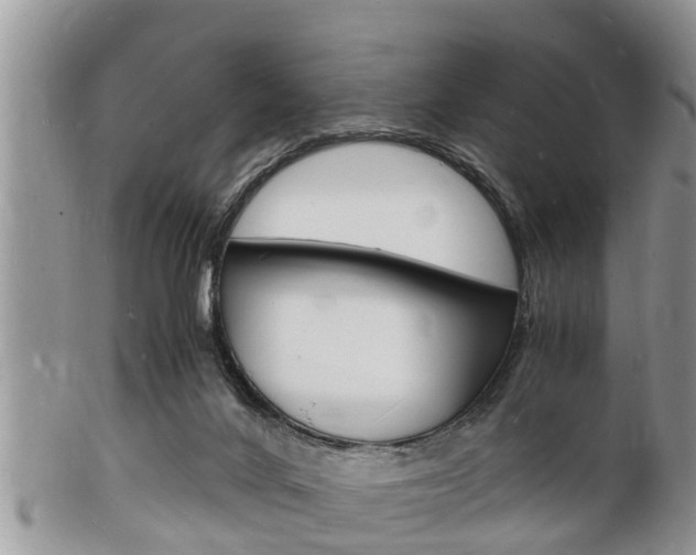 X0000102780024200808180941