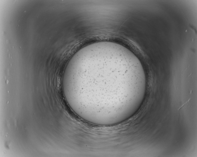 X0000102780025200808180941