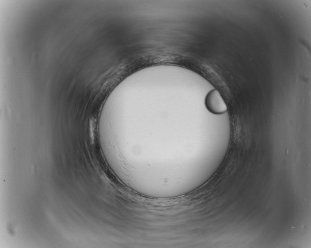 X0000102780026200808180941