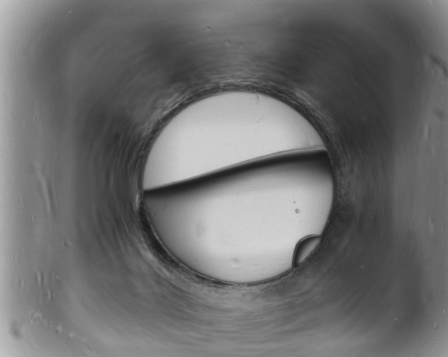 X0000102780028200808180941