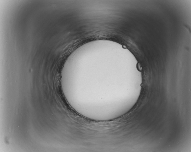 X0000102780029200808180941