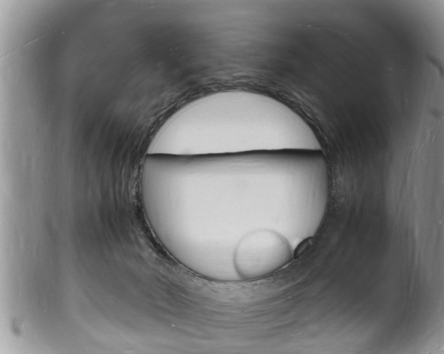 X0000102780030200808180941