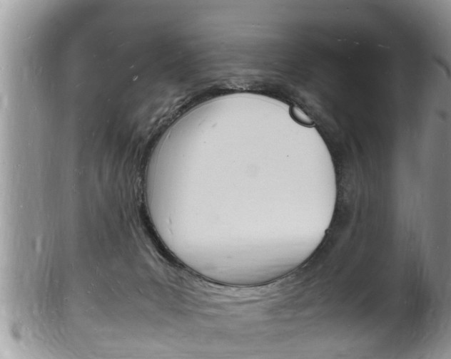 X0000102780031200808180941