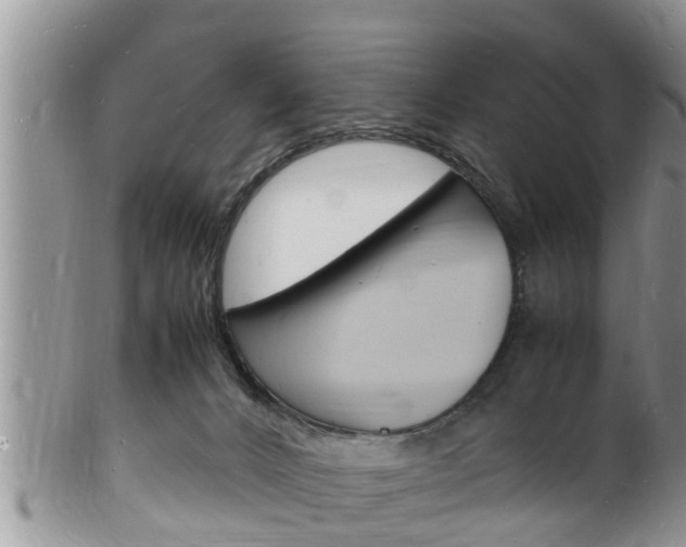 X0000102780032200808180941