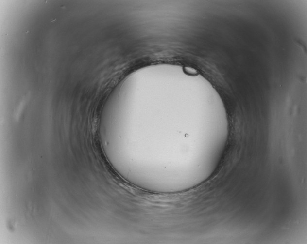 X0000102780033200808180941